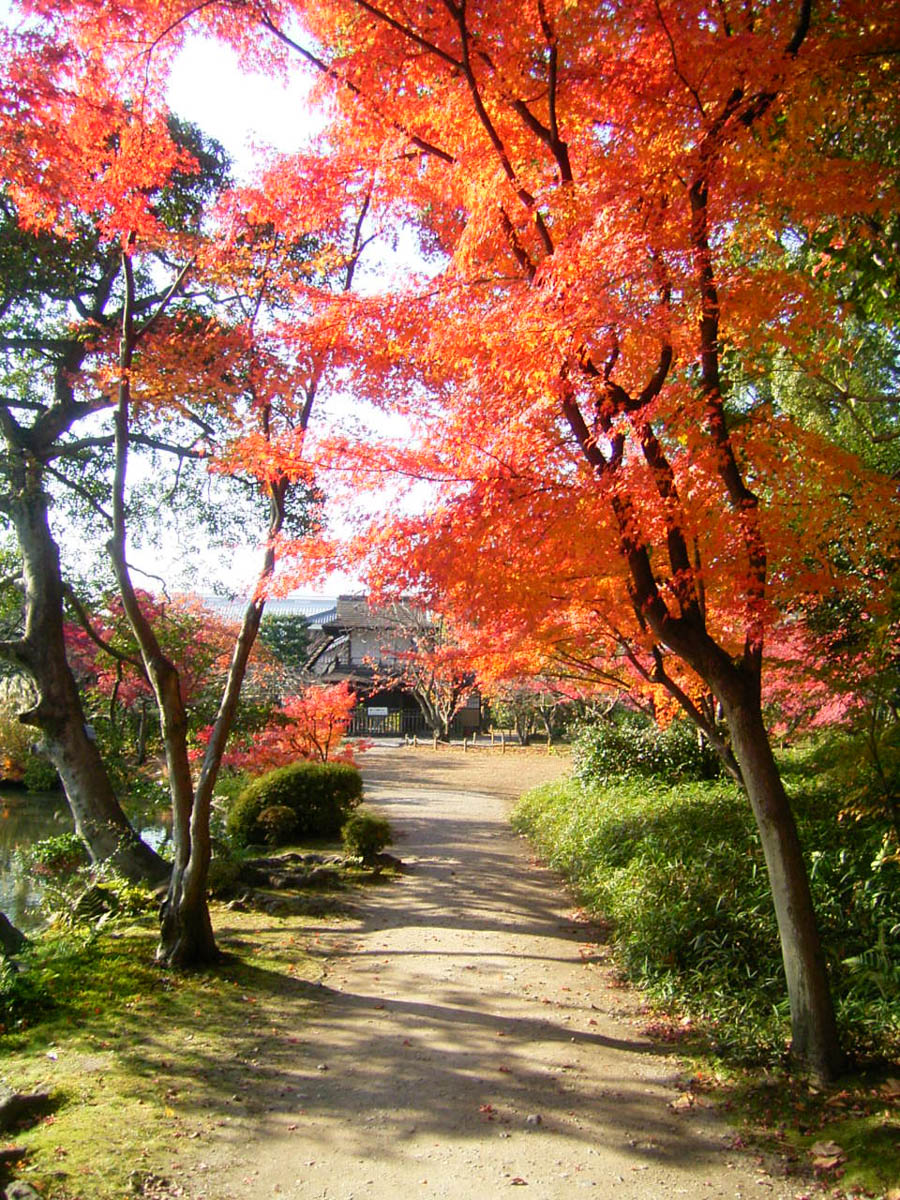 Tampu-kei, "Vermilion Maple Ravine"