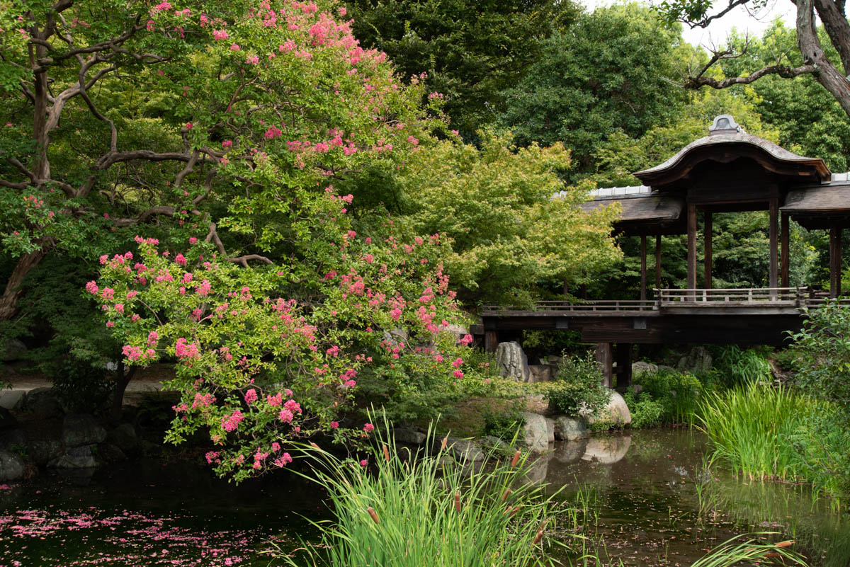 Kaito-ro Bridge