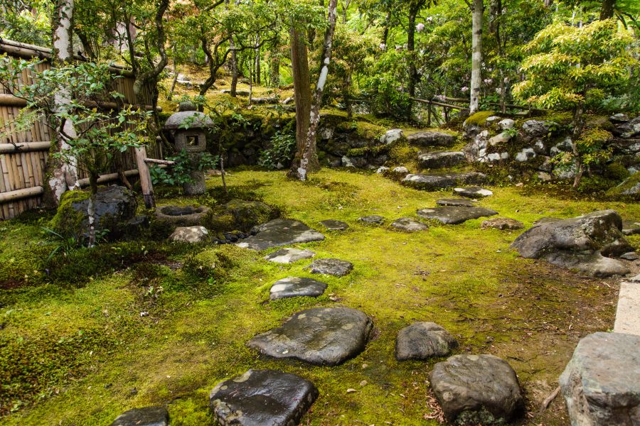 Tobiishi Stepping Stones UEYAKATO Landscape [Japanese garden