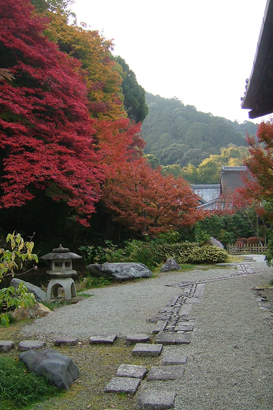 南禅寺 華厳庭・龍吟庭 | 庭園紹介 | 植彌加藤造園 -京都で、日本庭園