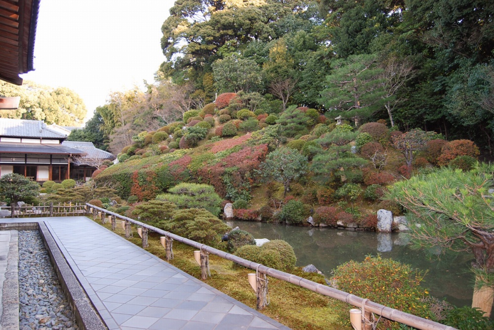 智积院 庭园介绍 植弥加藤造园 始于京都精心培育日本庭园