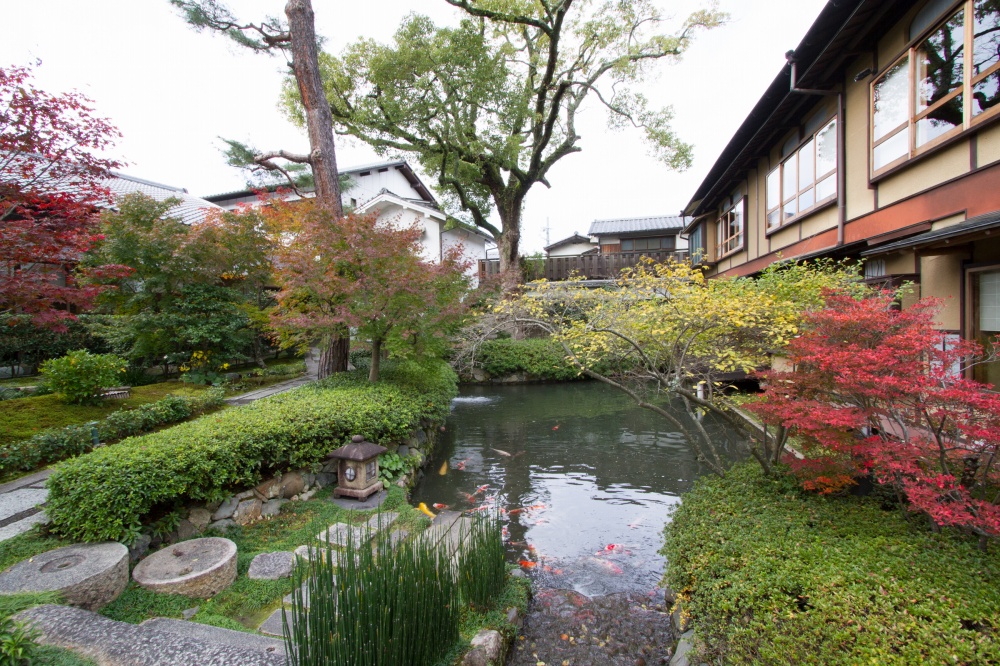 南禅寺顺正 庭园介绍 植弥加藤造园 始于京都精心培育日本庭园