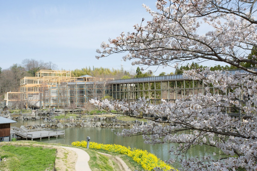 けいはんな記念公園 庭園紹介 植彌加藤造園 京都で 日本庭園をはぐくむ