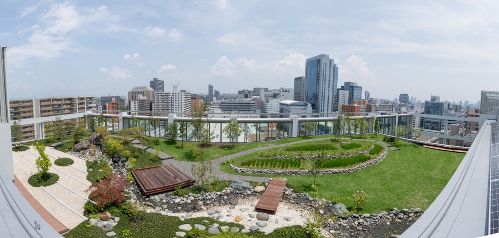 (株)ソフトウェア・サービス 本社屋上庭園作庭庭園|育成管理庭園植彌加藤造園株式会社