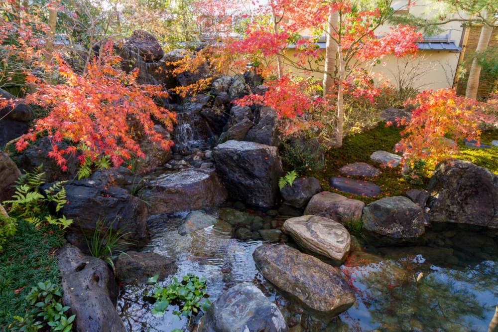 南禅寺ｍ邸 庭園紹介 植彌加藤造園 京都で 日本庭園をはぐくむ