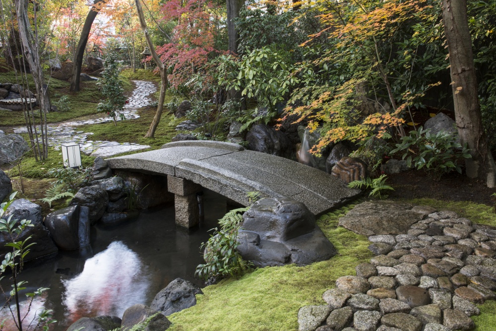 are dogs allowed in kyoto garden