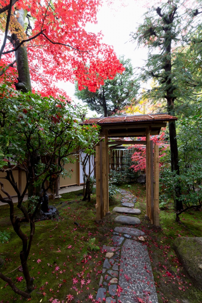 京都岡崎邸 庭園紹介 植彌加藤造園 京都で 日本庭園をはぐくむ