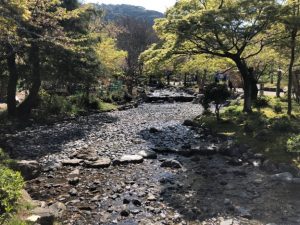 Maruyama Park’s stream before the completion of repair work1
