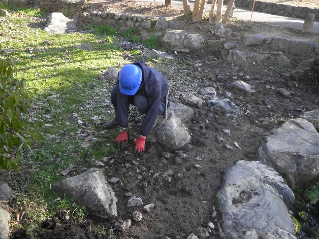 An Ueyakato Landscape gardener removes accumulated soil 2