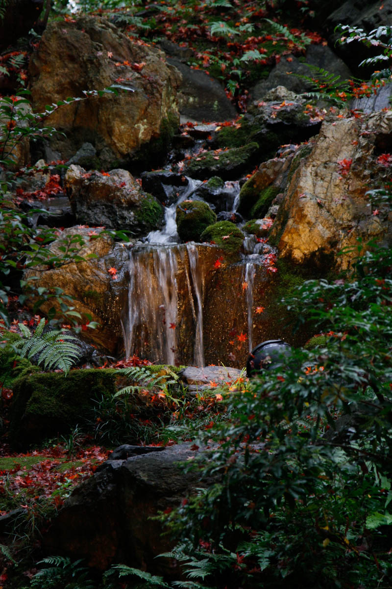 葵殿庭園