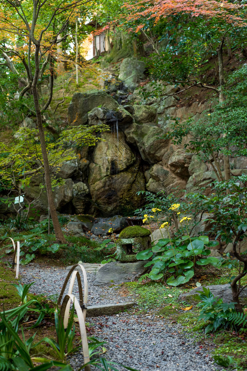 葵殿庭園