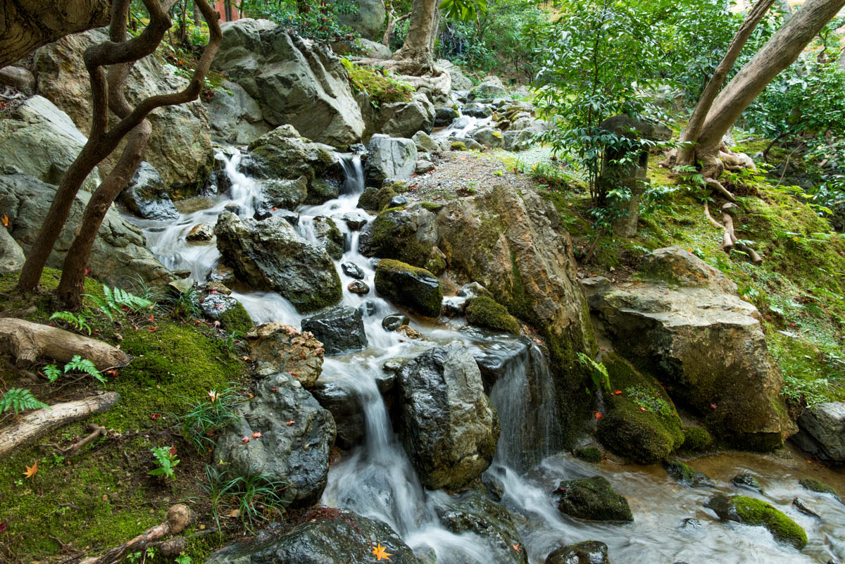 葵殿庭園