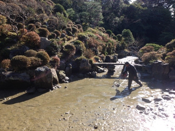 池の水抜き