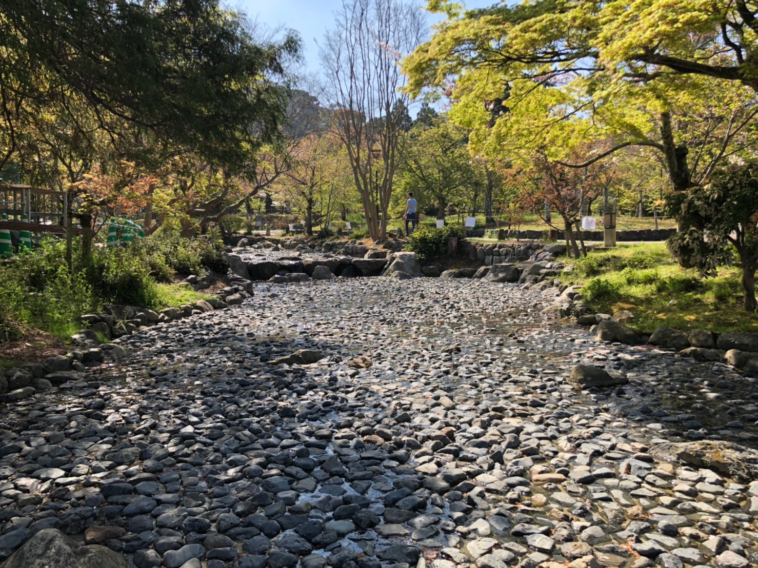 修理工事完了後の円山公園の流れの様子 2