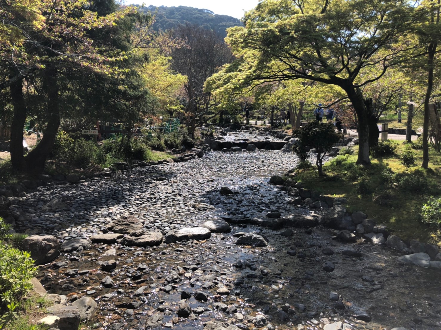 修理工事完了後の円山公園の流れの様子 1