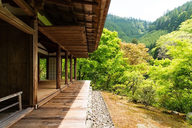 国宝石水院からの眺め（2020年現在）