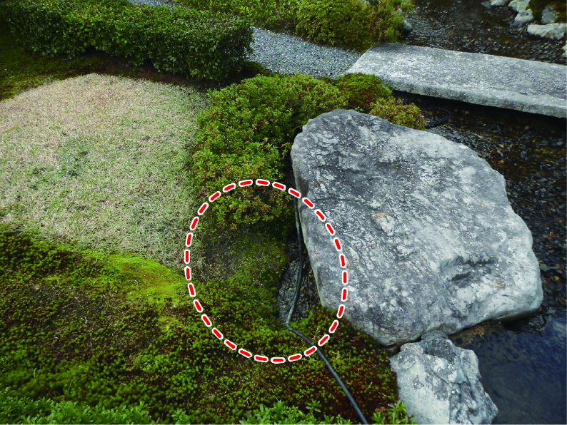 護岸裏込め土の流出