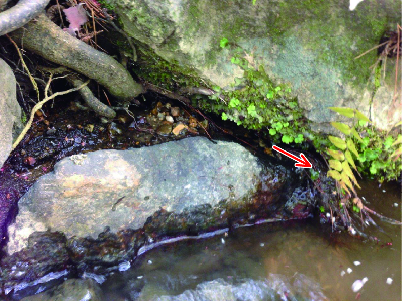 護岸目地からの漏水