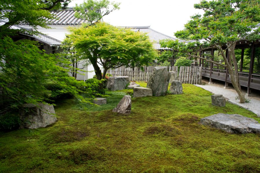 庭园 植弥加藤造园 始于京都精心培育日本庭园